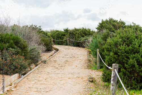 path in the garden photo