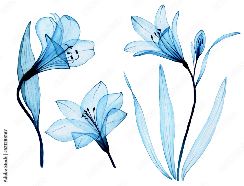 Simple blue flower HD wallpapers | Pxfuel