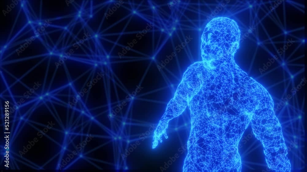 Human body scan, digital human figure standing. Biometric scan of human