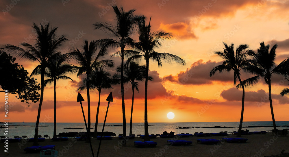 Kona Coast and Palm Trees with Dramatic Sunset on the Big Island in Hawaii