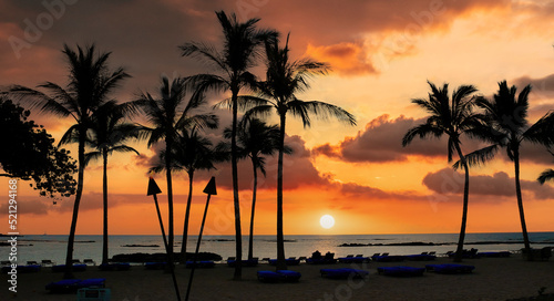 Kona Coast and Palm Trees with Dramatic Sunset on the Big Island in Hawaii