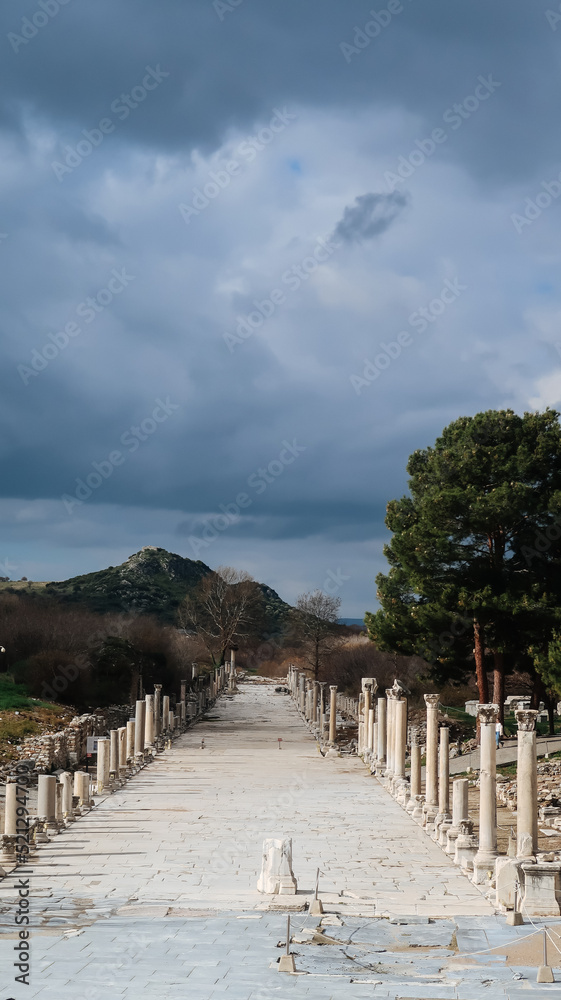 Street with old columns in Ephesus Ancient City