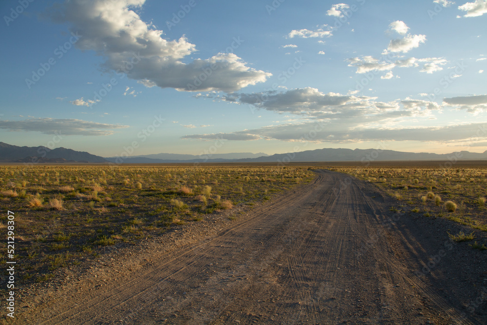 Dirt Road Headed Off into the Desert near Tonopah Nevada