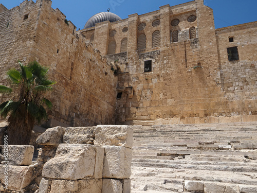Davidson Center Archaeological Park