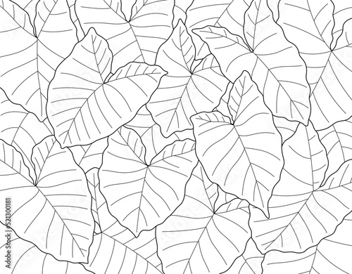Tropical Leaf Pattern Vector Scalable Strokes Taro Elephant Ears Black and White Line Art Background