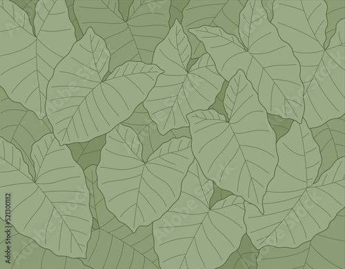 Tropical Leaf Pattern Vector Scalable Strokes Taro Elephant Ears Green Line Art Background