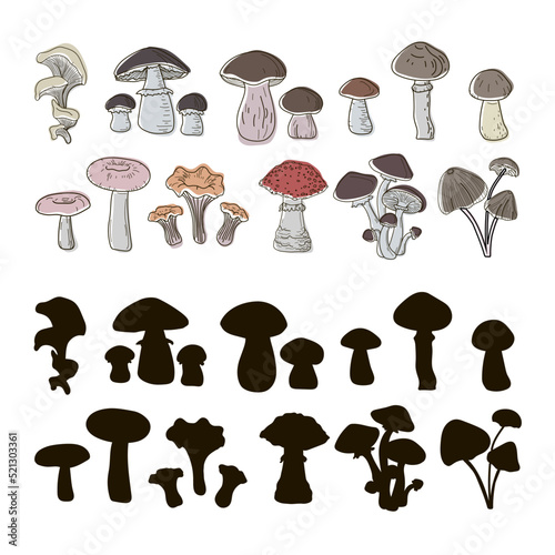 Set of boletuses, oyster mushrooms, ceps, grebes, fly agarics, boletuses, chanterelles, honey agarics, drawn in doodle and black silhouette style. Vector
