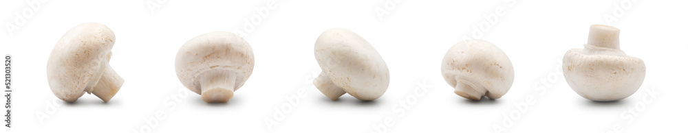 Fresh champignon mushrooms set isolated on white background side view	