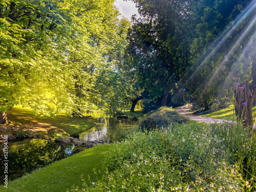 Last Rays of Sunshine
