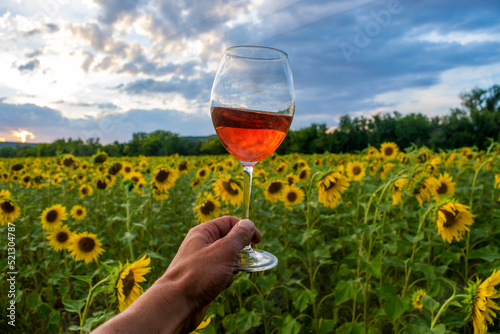 Wine in a field of sunflowers