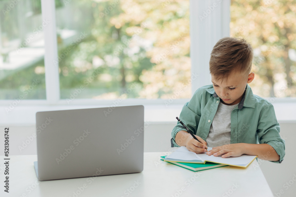 Adorable attentive boy writing in notebook and using laptop while doing homework. Place for text Adorable attentive boy writing in notebook and using laptop while doing homework. Place for text