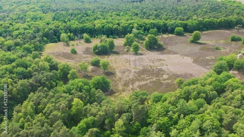 Aerial view, flying sidewards, of nature reserve Vasser Heide with heather field and forest, Haarle, Twente, Overijssel, Netherlands. photo