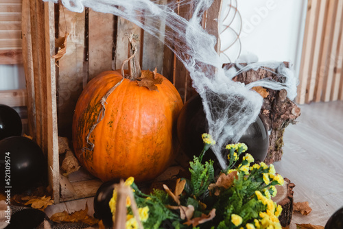 Pumpkins with fall leaves and orange balloons with artificial cobweb. Halloween and horror concept. Autumn October holiday. Trick or Treat. Preparing decorations for party