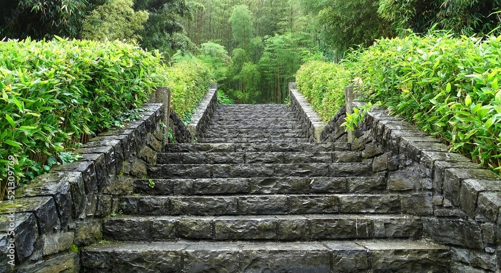Obraz premium stone stairs in the garden