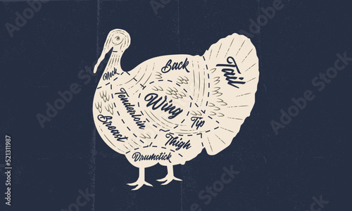 Turkey meat chart. Butchery poster with turkey meat cuts and paper craft texture. Vintage butcher meat diagram. Vector illustration