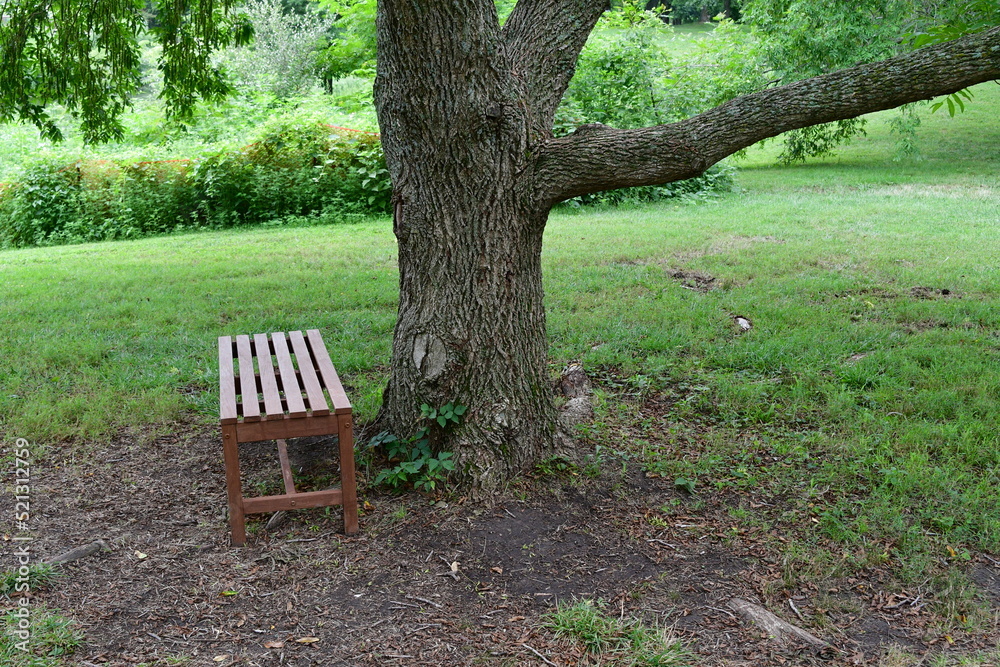 Wooden Park Bench by a Tree Wooden Park Bench by a Tree