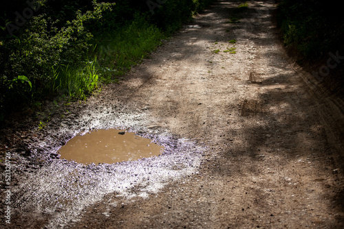 Quadro su tela Selective blur on a muddy water puddle on a ground dirtpath in the countryside, wet, during a rainy climate episode, provoking mud and groundwater to stay on the path