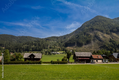 Typical agricultural landscape with a wooden barn and farms in a middle of a field with a grass pasture meadow in Bohinj  Slovenia  in the Julian Alps. it is a landmark of slovenian rural activity