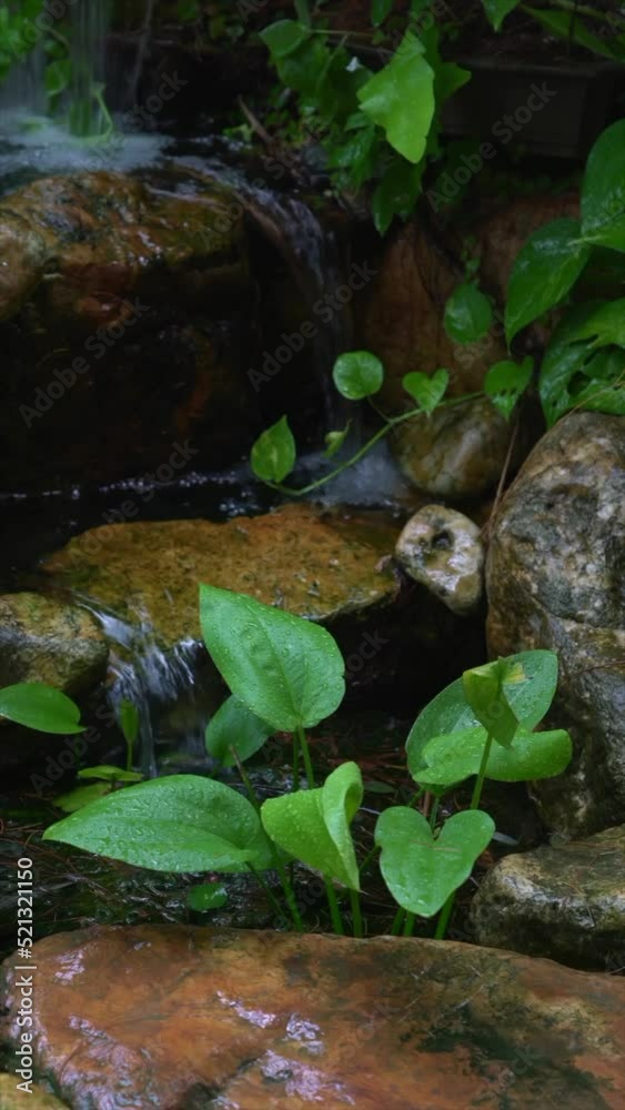 Vertical video of mini waterfall, water feature at the park. Landscape design or zen concept. Vertical video of mini waterfall, water feature at the park. Landscape design or zen concept.