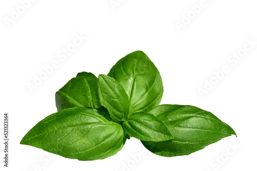 Photographie Green basil sprig isolated cutout