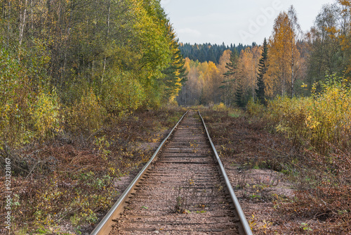Railway track by the station in the forest.
