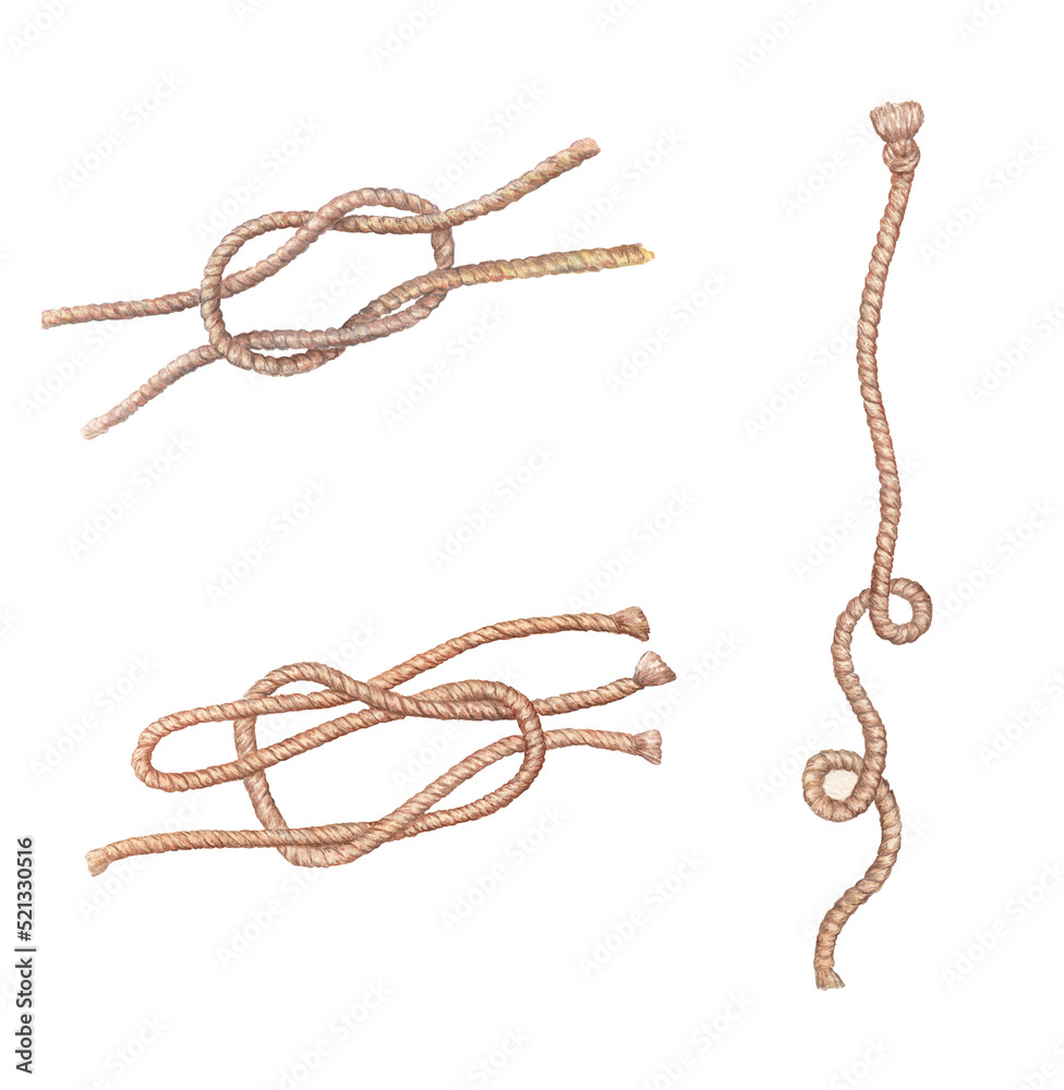 watercolor set of marine knots marine theme ocean clipart isolated