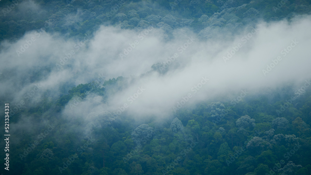 Landscape view of mountain covered in mist