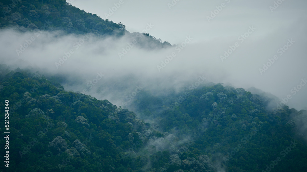 Misty mountain hill view. A panoramic view of beautiful landscapes