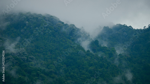Mountains scenery in the mist © BH
