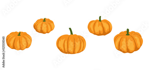 Set of pumpkins. Vector illustration for design poster, banner, print.