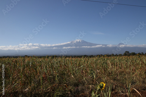 A view of Kilimanjaro mountain photo