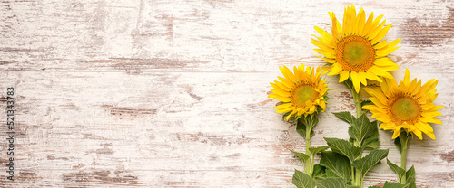 Beautiful sunflowers on wooden background with space for text