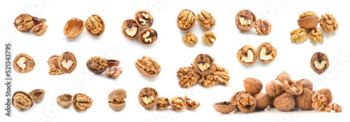Set of tasty walnuts isolated on white
