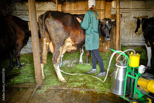 Fotografia A milkmaid woman and her cow on the farm