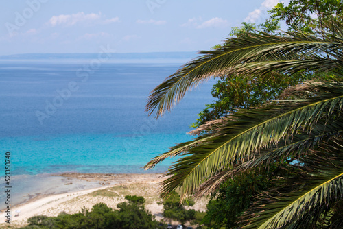 Closeup of Palm tree on island with beautiful beach and sea view in background.