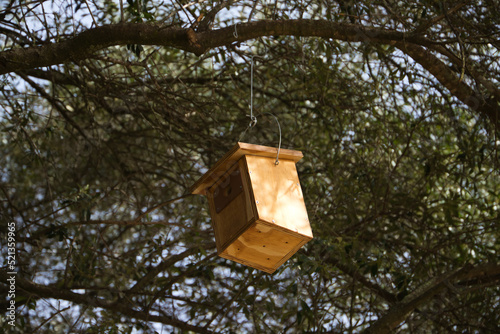 Wooden bird's nest hanging on the branch of a tree in a forest. Concept protection of insectivorous birds and forest animals.