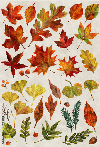 紅葉の秋、落ち葉の水彩風イラスト