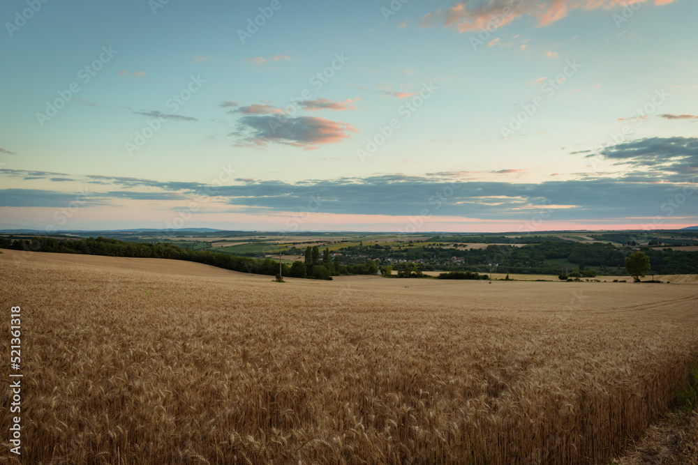 Fields in the Hungarian countryside at dusk