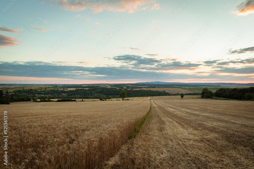Fields in the Hungarian countryside at dusk