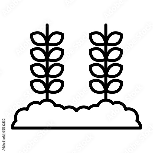 Wheat Plantation Line Icon