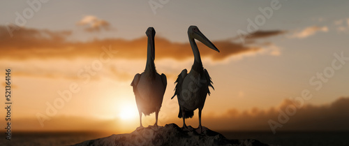 two Heron birds at lake evening sunset.