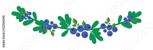 Christmas garland with fir branches and forest blueberries. Stylized drawing in flat style. Vector hand drawn illustration.