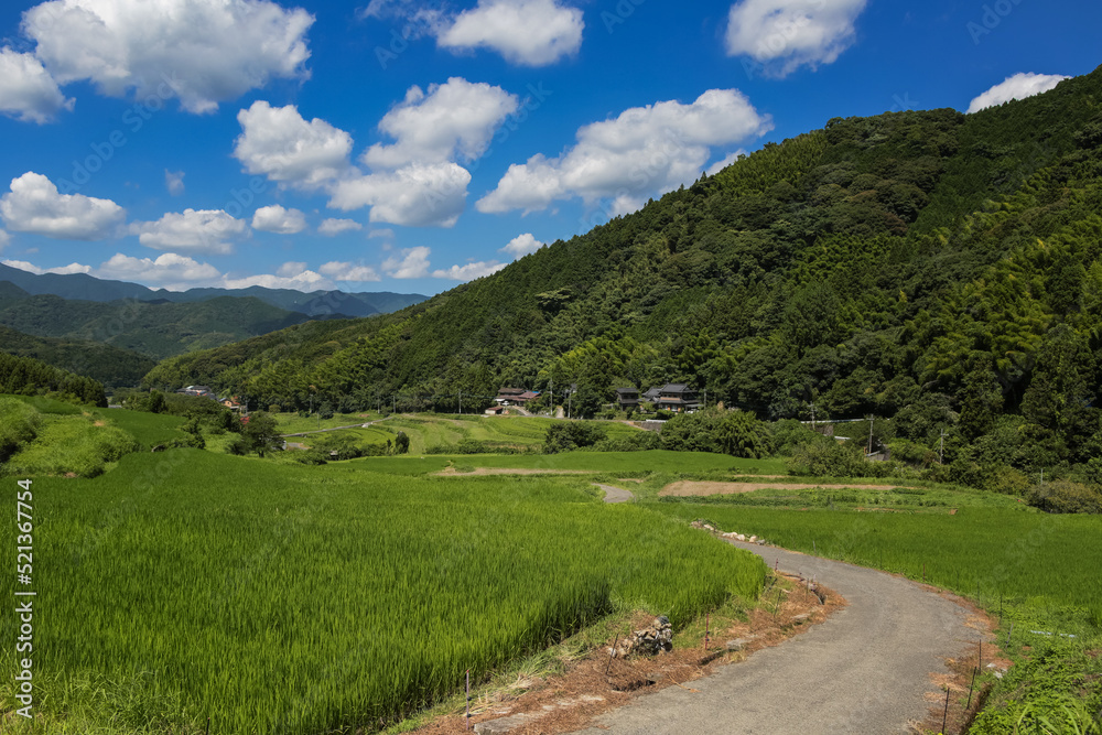 井手浦の棚田の風景　北九州市小倉南区