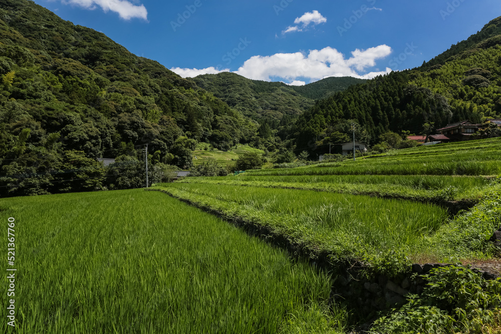 井手浦の棚田の風景　北九州市小倉南区