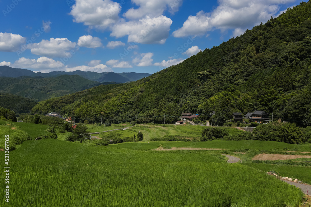 井手浦の棚田の風景　北九州市小倉南区