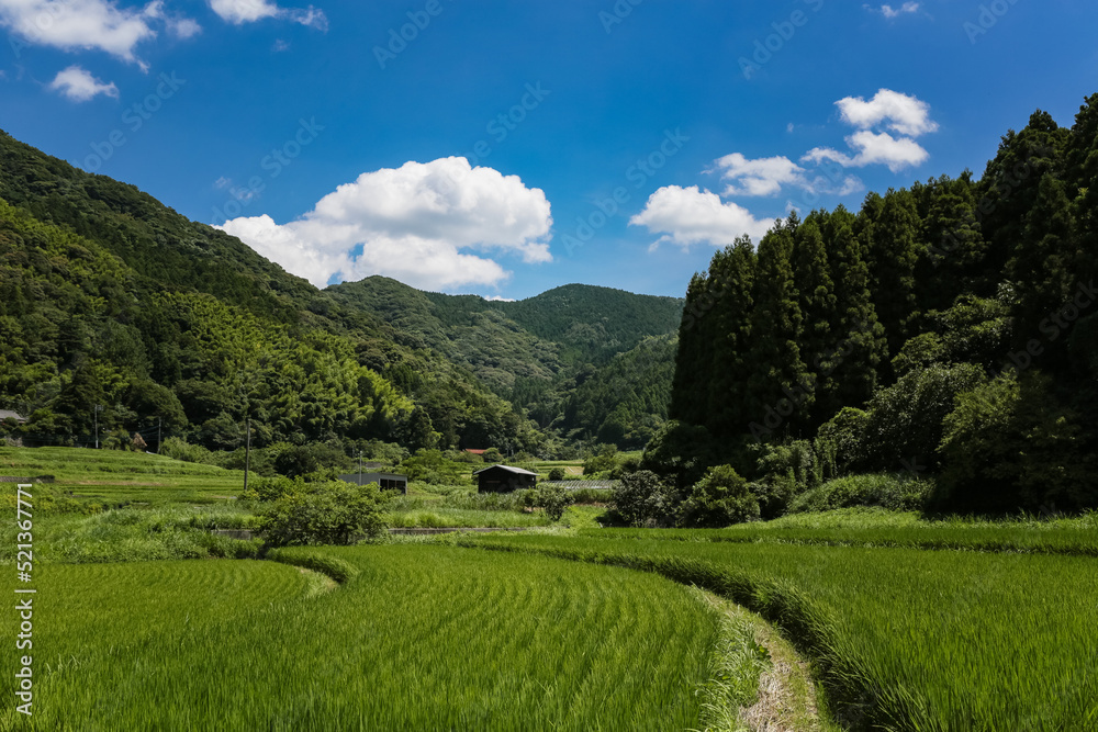 井手浦の棚田の風景 北九州市小倉南区 井手浦の棚田の風景 北九州市小倉南区