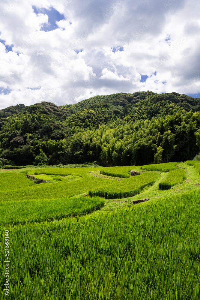 貫の棚田の風景 北九州市小倉南区 貫の棚田の風景 北九州市小倉南区