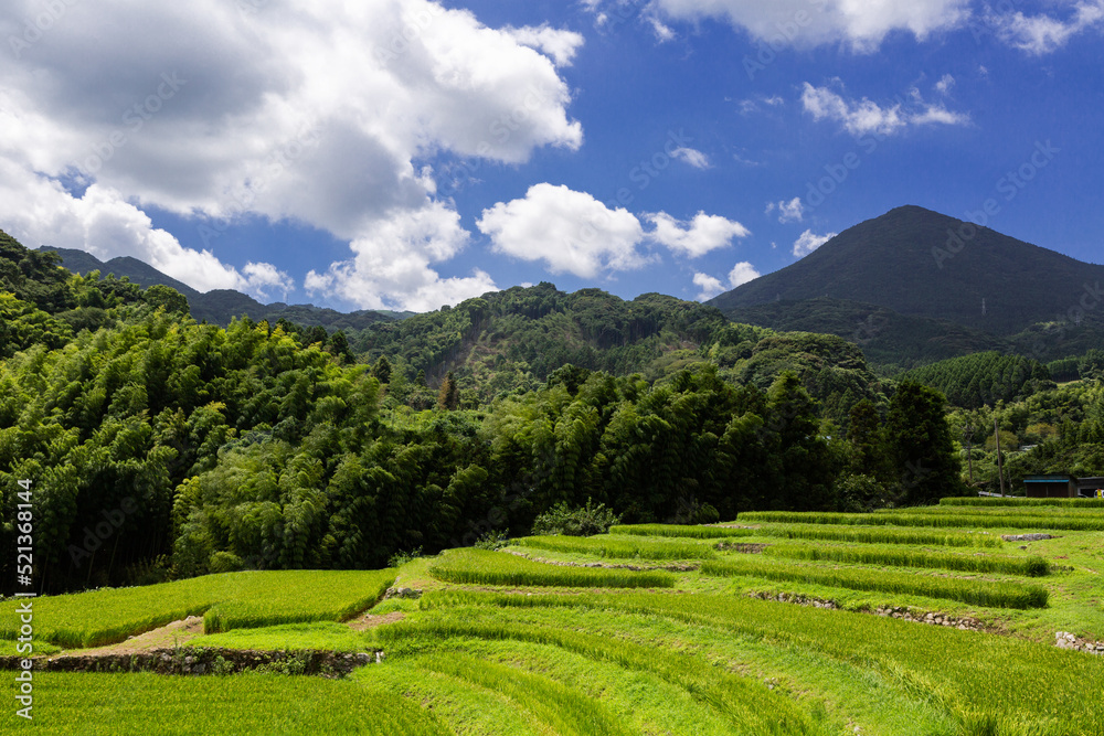 貫の棚田の風景　北九州市小倉南区