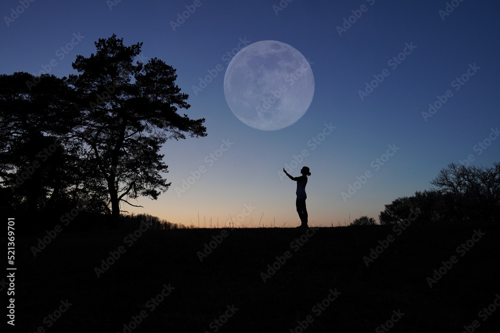 full moon time - obrazy, fototapety, plakaty 