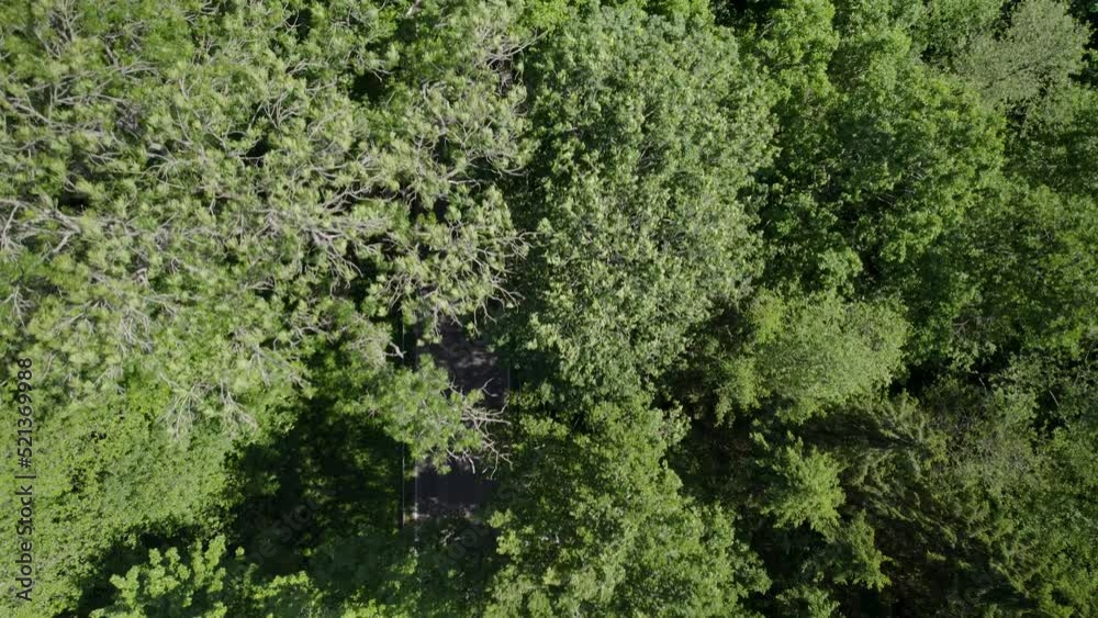 Aerial drone over a country road, looking through tree branches, dense forest. Aerial drone over a country road, looking through tree branches, dense forest.